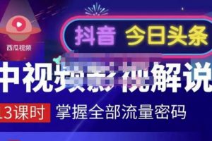 嚴(yán)如意·中視頻影視解說—掌握流量密碼，自媒體運(yùn)營創(chuàng)收，批量運(yùn)營賬號