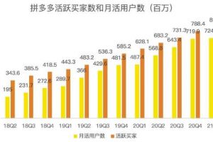 藍海項目拼多多視頻帶貨課，2022年入百萬新風口【視頻教程 軟件】