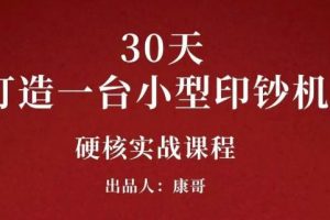 康哥30天打造一臺小型印鈔機：躺賺30萬的項目完整復盤（視頻教程）