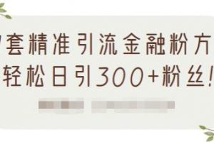 1套精準引流金融粉方法，輕松日引300 粉絲【視頻課程】