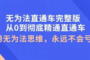 無為法直通車完整版：從0到徹底精通直通車，用無為法思維，永遠(yuǎn)不會虧損
