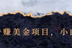 點擊廣告賺美金項目，小白可操作【視頻課程】
