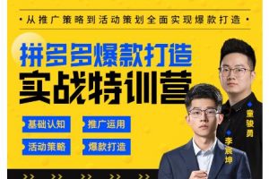 璽承云·拼多多爆款打造實(shí)戰(zhàn)特訓(xùn)營(yíng)，一套從入門(mén)到高手課程，讓你快速拿捏拼多多