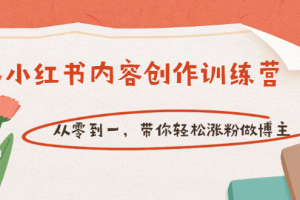 【小紅書內(nèi)容創(chuàng)作訓(xùn)練營】從零到一，帶你輕松漲粉做博主（價值399）