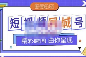 大東·短視頻同城號教程，包括搭建思路，版面制作，文案內容，剪輯操作等