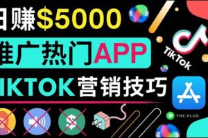 無需露臉，無需錄音，無需投資，TIKTOK上傳短視頻，最高日入5000美元
