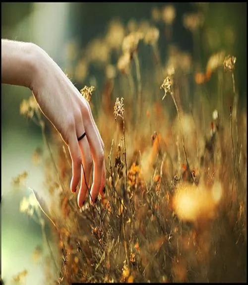 拼多多好評返現拼多多好評返現怎么罰罰多少錢插圖4