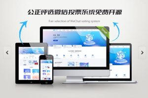 投票軟件微信投票軟件手機版