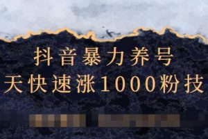 抖音暴力養號，三天快速漲1000粉技術【視頻課程】