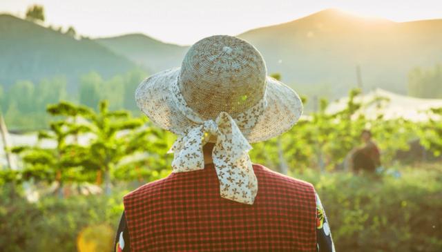 拼多多怎么算新用戶拼多多怎么算新用戶助力成功插圖