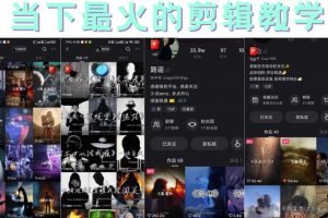 短時視頻朦朧詩文案號制作教程，實操7天漲粉20W 小白20分鐘看完直接上手