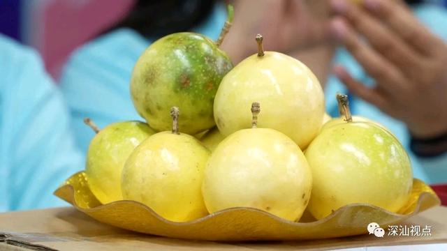 零基礎主播培訓零基礎主播培訓資料怎么寫插圖2 零基礎主播培訓零基礎主播培訓資料怎么寫插圖2