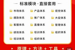 外面賣198·電商企業(yè)經(jīng)營管理工具：全套執(zhí)行落地方案 標準模塊·直接套用