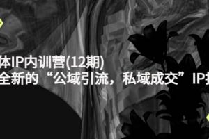 新媒體IP內訓營(12期)，一套全新的“公域引流，私域成交”IP打法，直接帶走