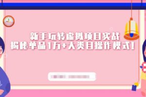 新手玩轉虛擬項目實戰，揭秘單品1萬 大類目操作模式【視頻課程】