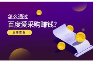 大王·怎么通過百度愛采購賺錢，已經通過百度愛采購完成200多萬的銷量