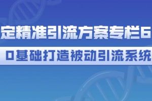 制定精準引流方案專欄6.0，0基礎打造被動引流系統