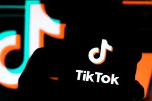 tiktok網頁入口urlebird