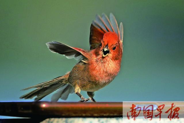 焦點圖焦點圖是什么意思網絡用語插圖5 焦點圖焦點圖是什么意思網絡用語插圖5