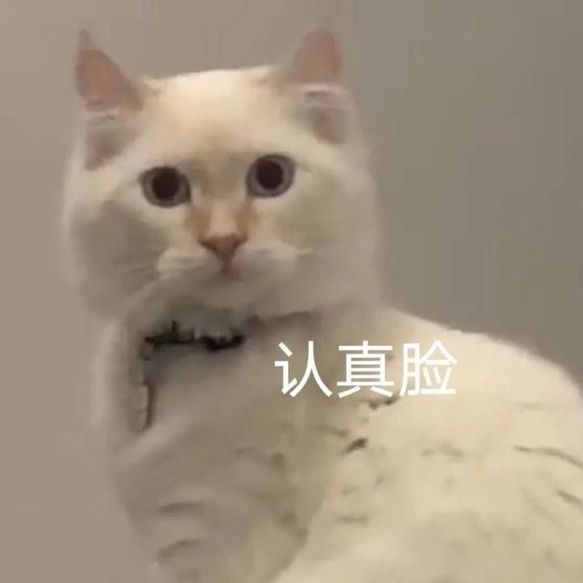 微信人工投票20元1000票插圖1