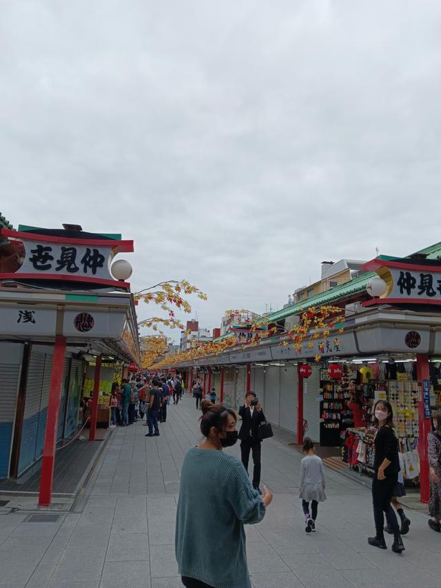 淺草淺草才能沒馬蹄亂花漸欲迷人眼是什么意思插圖