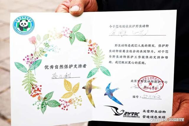 金雕插圖7 金雕插圖7