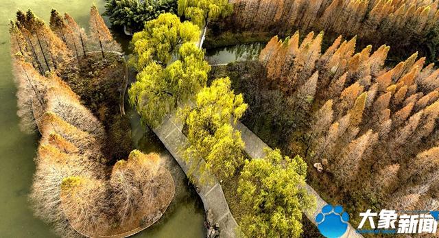 洛陽(yáng)旅游洛陽(yáng)旅游攻略自由行攻略插圖3