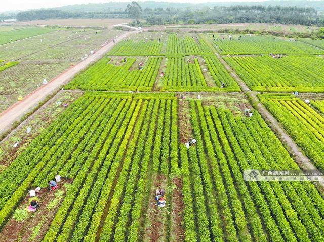焦點圖焦點圖是什么意思網絡用語插圖7 焦點圖焦點圖是什么意思網絡用語插圖7