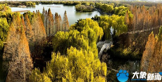 洛陽(yáng)旅游洛陽(yáng)旅游攻略自由行攻略插圖2