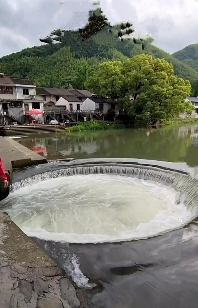 賺錢的項目賺錢的項目都在刑法里嘛插圖1