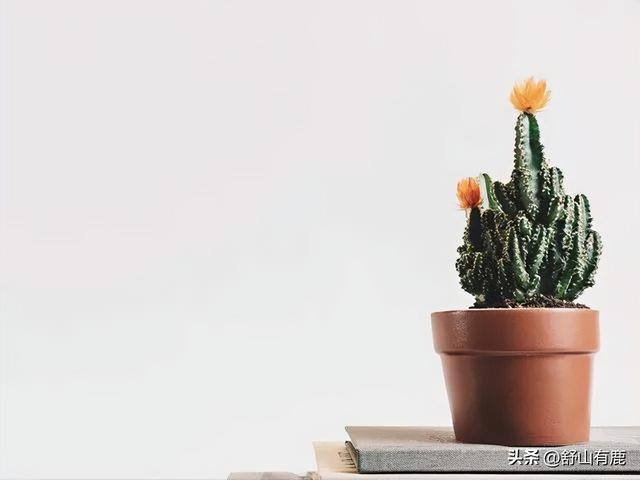 福緣論壇福緣論壇真的嗎插圖1