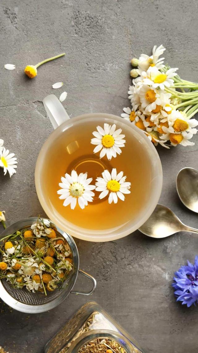 女生的小雛菊長(zhǎng)什么樣雛菊花長(zhǎng)什么樣子插圖