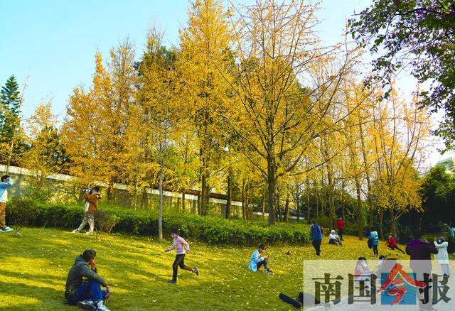 焦點圖焦點圖是什么意思網絡用語插圖6 焦點圖焦點圖是什么意思網絡用語插圖6