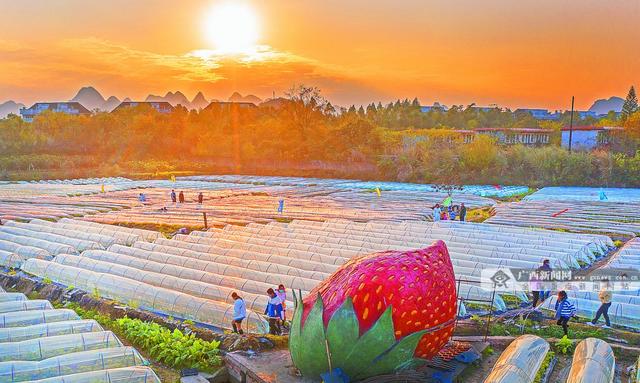 焦點圖焦點圖是什么意思網絡用語插圖2 焦點圖焦點圖是什么意思網絡用語插圖2