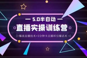 螞蟻·5.0半自動(dòng)直播2345打法，半自動(dòng)爆流直播技術(shù) 5分鐘卡點(diǎn)循環(huán)引爆話術(shù)