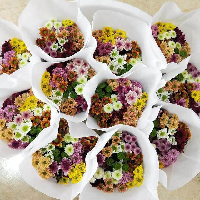 女生的小雛菊長什么樣女生的小雛菊長什么樣(不是花)照片插圖