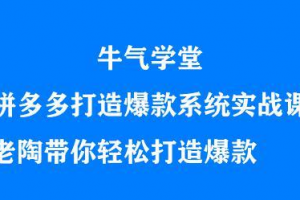 牛氣學堂拼多多打造爆款系統實戰課，老陶帶你輕松打造爆款