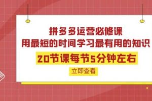 拼多多運營必修課：20節課每節5分鐘左右，用最短的時間學習最有用的知識