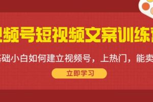 視頻號短視頻文案訓練營：0基礎小白如何建立視頻號，上熱門，能賣貨！