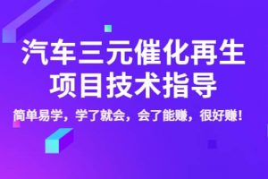 汽車三元催化再生項目技術指導，簡單易學，學了就會，會了能賺，很好賺！
