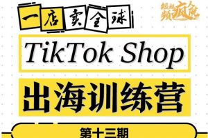 TikTokShop出海訓練營（第十三期），打開全球流量新思維，出海搶占全球新流量，一店賣全球