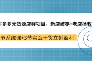拼多多無貨源店群項目，新店破零 老店拯救 12節系統課 3節實戰干貨立刻盈利