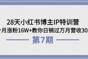 28天小紅書博主IP特訓營《第6 7期》4個月漲粉16W 教你日銷過萬月營收30萬