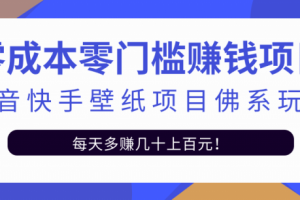 零成本零門檻賺錢項目：抖音快手壁紙項目佛系玩法，一天變現500 【視頻教程】