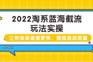 2022淘系藍海截流玩法實操：讓你選品速度更快，提高選品質量（價值599）