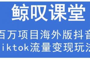 鯨嘆號·海外TIKTOK訓練營，百萬項目海外版抖音tiktok流量變現玩法