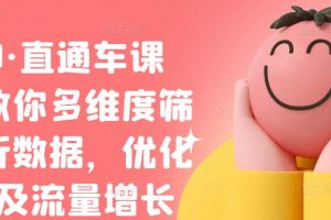 盜坤·直通車課程，教你多維度篩選分析數據，優(yōu)化店鋪及流量增長