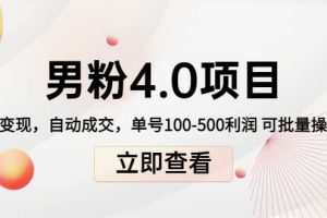 道哥說創業男粉1 2 3 4.0項目：私域變現 自動成交 可批量