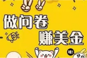 外邊收費四五千的國外問卷調查項目，單人一天操作100美元，真正的搬磚項目