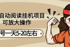 最新自動閱讀掛機項目，單號一天5-20左右可放大操作【詳細教程 掛機腳本】